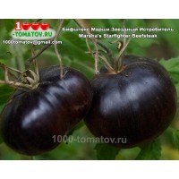 Томат БИФШТЕКС МАРШИ ЗВЁЗДНЫЙ ИСТРЕБИТЕЛЬ Marsha's Starfighter Beefsteak