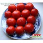 Томат ШТАД ТОМАТЕ   Stad tomate 
