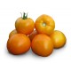 Среднеплодные томаты