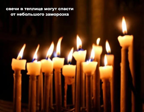 Защита от заморозков - свечи в теплице
