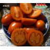 Томат АЛЬКЕ