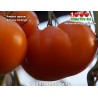 Томат АМАНА ОРАНЖ  Amana Orange