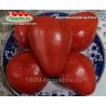 Томат АМЕРИКАНСКИЙ ВЫТЯНУТЫЙ