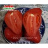 Томат АМЕРИКАНСКИЙ ВЫТЯНУТЫЙ