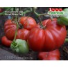 Томат АМИШ ПОТАТО ЛИФ