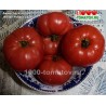 Томат АМИШ ПОТАТО ЛИФ