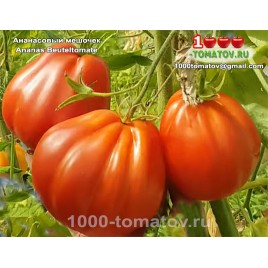 Томат АНАНАСОВЫЙ МЕШОЧЕК 