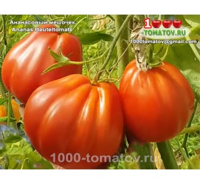 Томат АНАНАСОВЫЙ МЕШОЧЕК Томат АНАНАСОВЫЙ МЕШОЧЕК