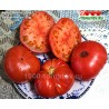Томат АРБУЗ БОЛЬШОЙ