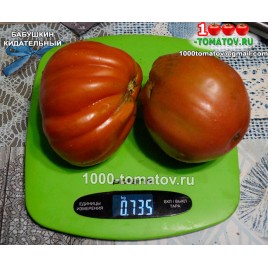 Томат БАБУШКИН КИДАТЕЛЬНЫЙ 