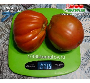 Томат БАБУШКИН КИДАТЕЛЬНЫЙ 