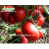 Томат БАРТЕНЕВСКИЕ
