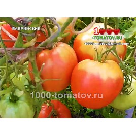 Томат БАВРИНСКИЕ Томат БАВРИНСКИЕ