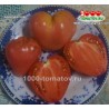 Томат БАВРИНСКИЕ