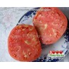 Томат Бельгийский  великан