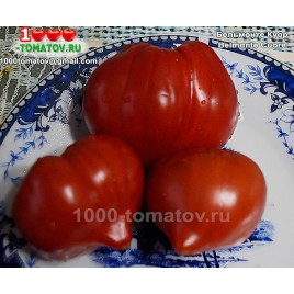 Томат БЕЛЬМОНТЕ КУОР