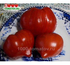 Томат БЕЛЬМОНТЕ КУОР