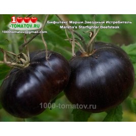 Томат БИФШТЕКС МАРШИ ЗВЁЗДНЫЙ ИСТРЕБИТЕЛЬ Marsha's Starfighter Beefsteak