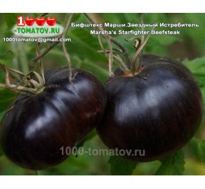 Томат БИФШТЕКС МАРШИ ЗВЁЗДНЫЙ ИСТРЕБИТЕЛЬ Marsha's Starfighter Beefsteak