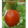 Томат БЫК САЧ -  BULL SAC