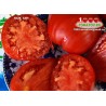 Томат БЫК САЧ -  BULL SAC