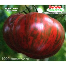 Томат БЛЭК СТРАЙП  Black Stripe 