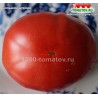 Томат БОЛЬШОЙ БРЕНДИ 