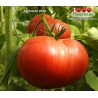 Томат БОЛЬШАЯ ИЗБА