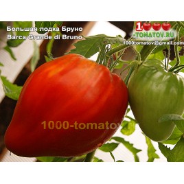 Томат БОЛЬШАЯ ЛОДКА БРУНО