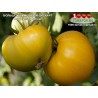 Томат БОЛЬШОЙ ЛИМОННЫЙ ОКСХАРТ Huge lemon Оxheart Томат БОЛЬШОЙ ЛИМОННЫЙ ОКСХАРТ Huge lemon Оxheart