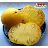 Томат БОЛЬШОЙ ЛИМОННЫЙ ОКСХАРТ Huge lemon Оxheart Томат БОЛЬШОЙ ЛИМОННЫЙ ОКСХАРТ Huge lemon Оxheart