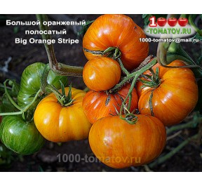 Томат БОЛЬШОЙ ОРАНЖЕВЫЙ ПОЛОСАТЫЙ