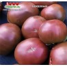 Томат БОРДОВЫЙ Томат БОРДОВЫЙ