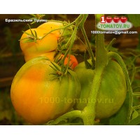 Томат БРАЗИЛЬСКИЙ ПРИНЦ