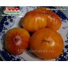 Томат БРАЗИЛЬСКИЙ ПРИНЦ
