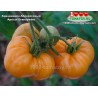 Томат БРЕНДИВАЙН АБРИКОСОВЫЙ Apricot Brandywine