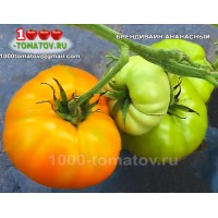 Томат БРЕНДИВАЙН АНАНАСНЫЙ