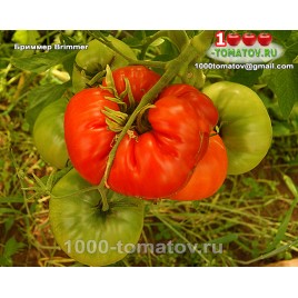 Томат БРИММЕР Томат БРИММЕР