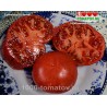 Томат БРИММЕР Томат БРИММЕР