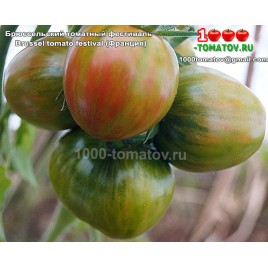 Томат БРЮССЕЛЬСКИЙ ТОМАТНЫЙ ФЕСТИВАЛЬ  Brussel tomato festival