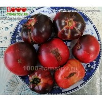Томат БУЙНАЯ КРАСОТКА