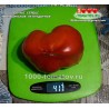 Томат БЫЧЬЕ СЕРДЦЕ МИНУСИНСКОЕ ЛЕГЕНДАРНОЕ