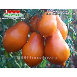 Томат БЫЧЬЕ СЕРДЦЕ МИНУСИНСКОЕ ОРАНЖЕВОЕ