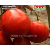 Томат БЫЧЬЕ СЕРДЦЕ НОВОПАВЛОВСКОЕ