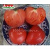 Томат БЫЧЬЕ СЕРДЦЕ СОВЕТСКОЕ