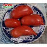 Томат БЫЧКИ МИНУСИНСКИЕ