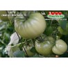 Томат ЦАРЬ (МИНУСИНСКИЕ) 