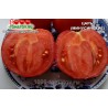 Томат ЦАРЬ (МИНУСИНСКИЕ) 