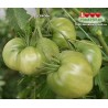 Томат ЦЕРКОВЬ