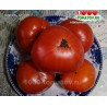 Томат ЦЕРКОВЬ